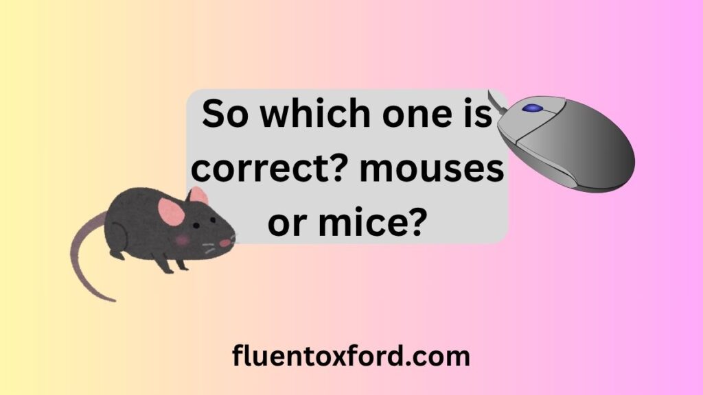 Mouses Vs Mice: What’s The Correct Plural Of Mouse?