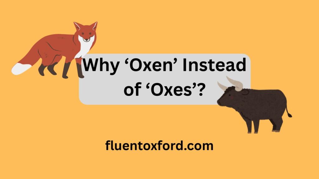 What Are The Plurals Of ‘Ox’ And ‘Fox’? Why ‘Oxen’ And ‘Foxes’?