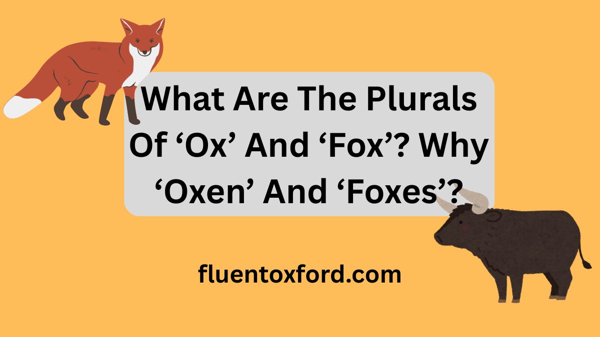 What Are The Plurals Of ‘Ox’ And ‘Fox’? Why ‘Oxen’ And ‘Foxes’?