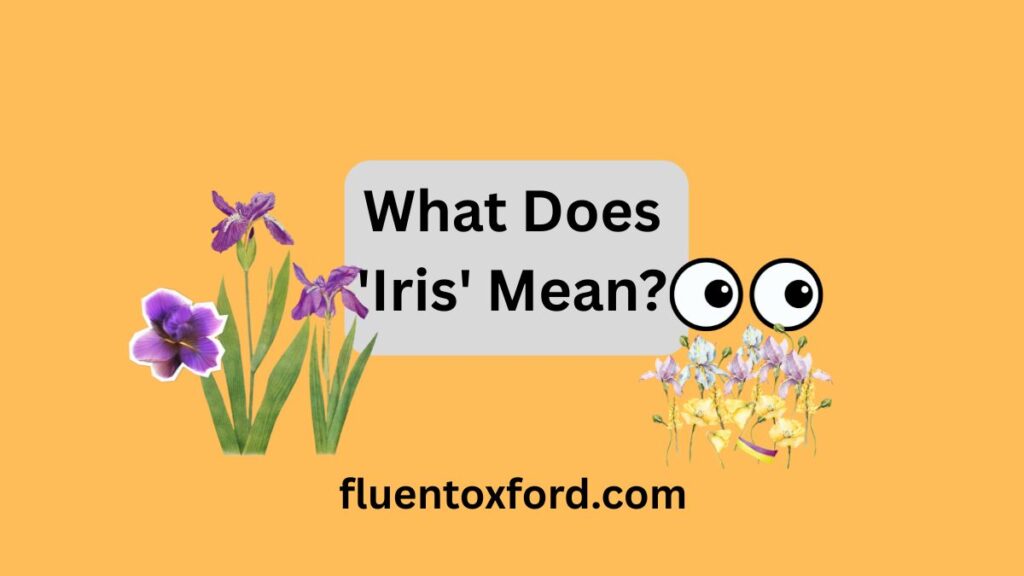 What’s The Plural of Iris? Explanation With Examples