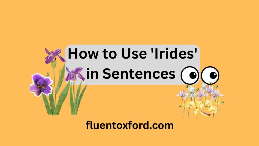 What’s The Plural of Iris? Explanation With Examples