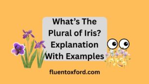 What’s The Plural of Iris? Explanation With Examples