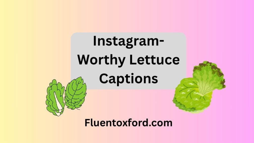 162+ Lettuce Puns That Will Leaf You Wanting More